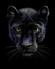 Wall Mural - panther. artistic, sketchy, color portrait of a panther head on a black background.