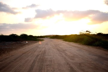 road in field