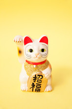 Maneki Neko Good Fortune Or Japanese Lucky Cat On Yellow Background