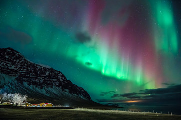 Wall Mural - colorful northern lights in iceland on the beach