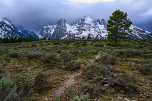 Snowcapped Mountains By Bush Land In Grand Teton National Park, USA