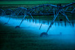 © Steve Smith/Tetra Images - Irrigation system spraying crop field at sunset
