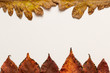 Top view of autumn leaves on a white canvas background with copy space