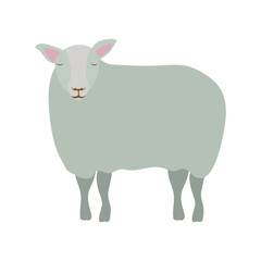 Wall Mural - cute sheep manger animal character