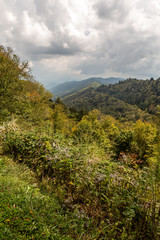 Wall Mural - Great Smoky Mountains National Park