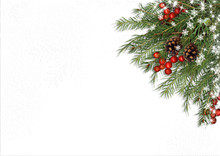 Christmas Tree Branch, Decorations With Holly On White Background