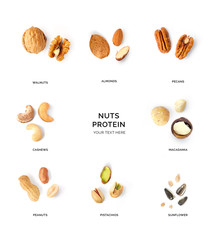 Creative layout made of walnuts, almonds, cashew, pistachio, peanuts, sunflowers and macadamia on white background. Flat lay. Food concept. Macro concept.