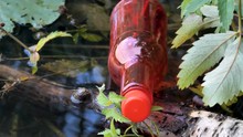 The Red Cap Of The Red Long Plastic Bottle