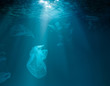 © Andrey Kuzmin - Sea or ocean underwater with plastic garbage