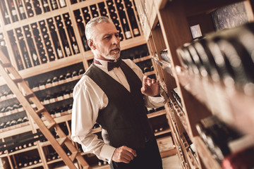 Wall Mural - Sommelier Concept. Senior man standing choosing wine concerned