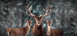 Noble deer family in winter snow forest. Artistic winter christmas landscape. Winter wonderland.