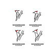 set woodpecker bird line logo icon design template vector