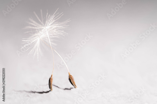 Elégance féminine...!