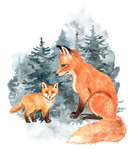Watercolor Winter Background With Foxes. Hand Pinted Fox Mom And Baby With Watercolor Snow Forest Landscape Behind. Woodland Forest Animals And Pine Trees. Christmas Illustration For Cards Design.