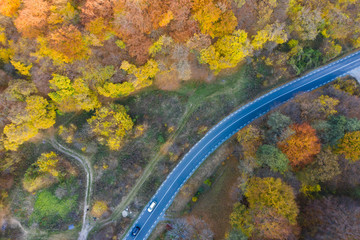 Beautiful landscape with empty rural road, trees with red and orange leaves.