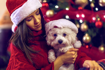  smiling  woman in santa hats embracing cute puppy. dog in santa hats for Christmas gift.