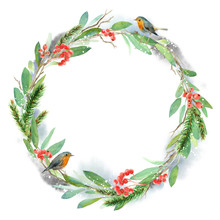 Watercolor Winter Floral Wreath. Christmas Illustration. Hand Painted Tree Branches Composition And With Robin Birds