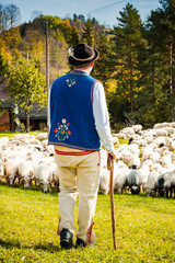 Wall Mural - Traditional Polish Highland Shepherd in Regional Clothing at Sheep Pasture