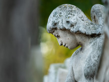 Detail Of An Old Gravestone In St. Marx Cemetery In Autumn