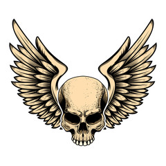 Wall Mural - Illustration of winged skull in tattoo style isolated on white background. Design element for logo, label, badge, sign. Vector illustration