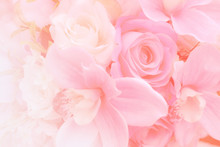 Blurred Of Rose Flowers Pink Blooming. In The Pastel Color Style For Background. Stained Glass Pictures