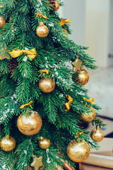Wall Mural - Green fir tree with golden balls. Christmas wallpaper.