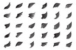 Big Collection of white Wings. Vector Illustration and outline Icons.