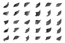 Big Collection Of White Wings. Vector Illustration And Outline Icons.