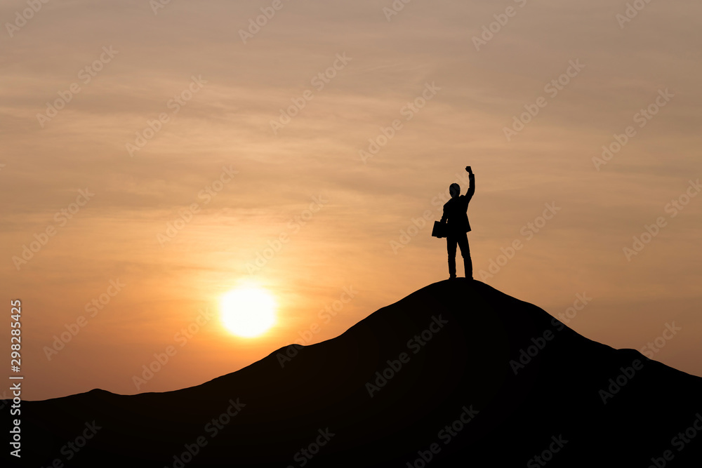 Silhouette of businessman raising his hand to celebrate success on top of mountain, White background. - obrazy, fototapety, plakaty 
