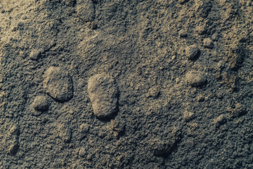 Poster - Close up beautiful gray mixture background texture. Macro view.