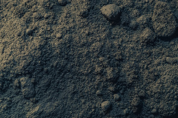 Poster - Close up beautiful gray mixture background texture. Macro view.