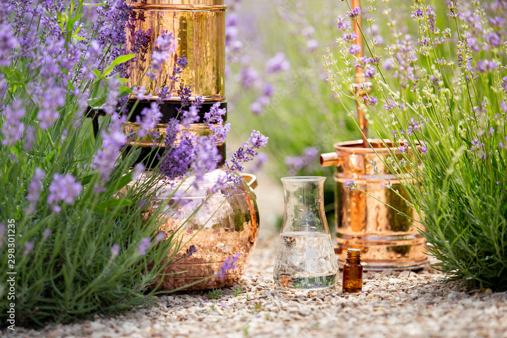 Distilling apparatus alembic with esential oil between of lavender field lines. - obrazy, fototapety, plakaty 