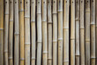 Bamboo stems, furniture.