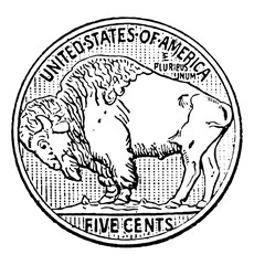 Wall Mural - buffalo nickel vintage illustration.