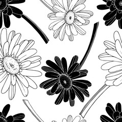 Wall Mural - Vector Gerbera floral botanical flower. Black and white engraved ink art. Seamless background pattern.