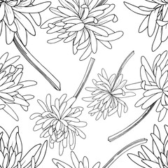 Wall Mural - Vector Chrysanthemum floral botanical flower. Black and white engraved ink art. Seamless background pattern.