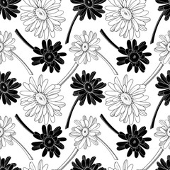 Wall Mural - Vector Gerbera floral botanical flower. Black and white engraved ink art. Seamless background pattern.