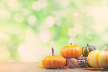 Wall Mural - autumn thanksgiving background