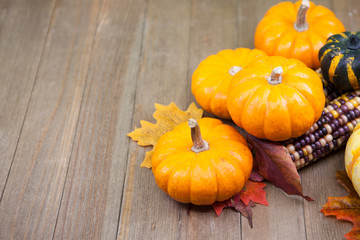 Wall Mural - autumn thanksgiving background
