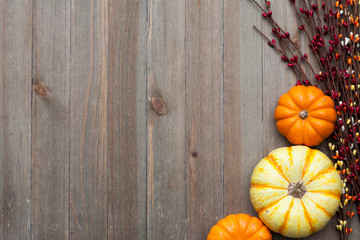 Wall Mural - autumn thanksgiving colorful setting background