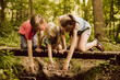 © Mareen Fischinger/Westend61 - Three children reaching down from a small bridge in forest