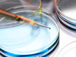 © Cavan Images - Scientist pipetting a sample into a petri dish