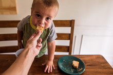 Toddler Looking At Camera Taking Bite From A Sandwich Being Fed To Him