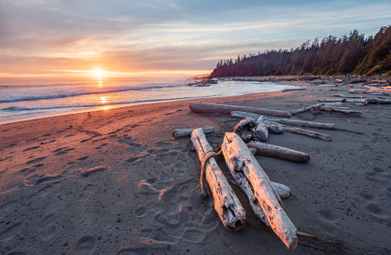 beautiful sunset along the west coast trail of vancouver island, british columbia, canada.