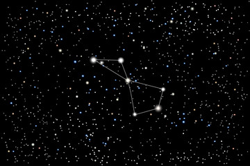 Vector illustration of the constellation Volans (Flying fish) on a starry black sky background. The astronomical cluster of stars in the Southern Celestial Hemisphere 