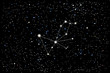Vector illustration of the constellation Pavo (Peacock) on a starry black sky background. The astronomical cluster of stars in the Southern Celestial Hemisphere 