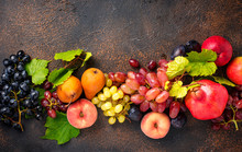 Various Autumn Fruits. Harvest Concept