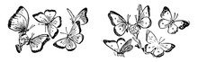 Ten Butterflies, Vintage Illustration.