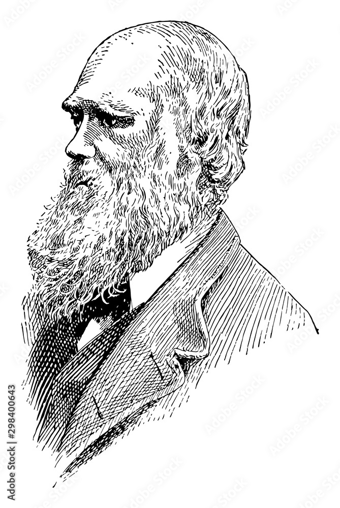 Charles Darwin, vintage illustration - obrazy, fototapety, plakaty 