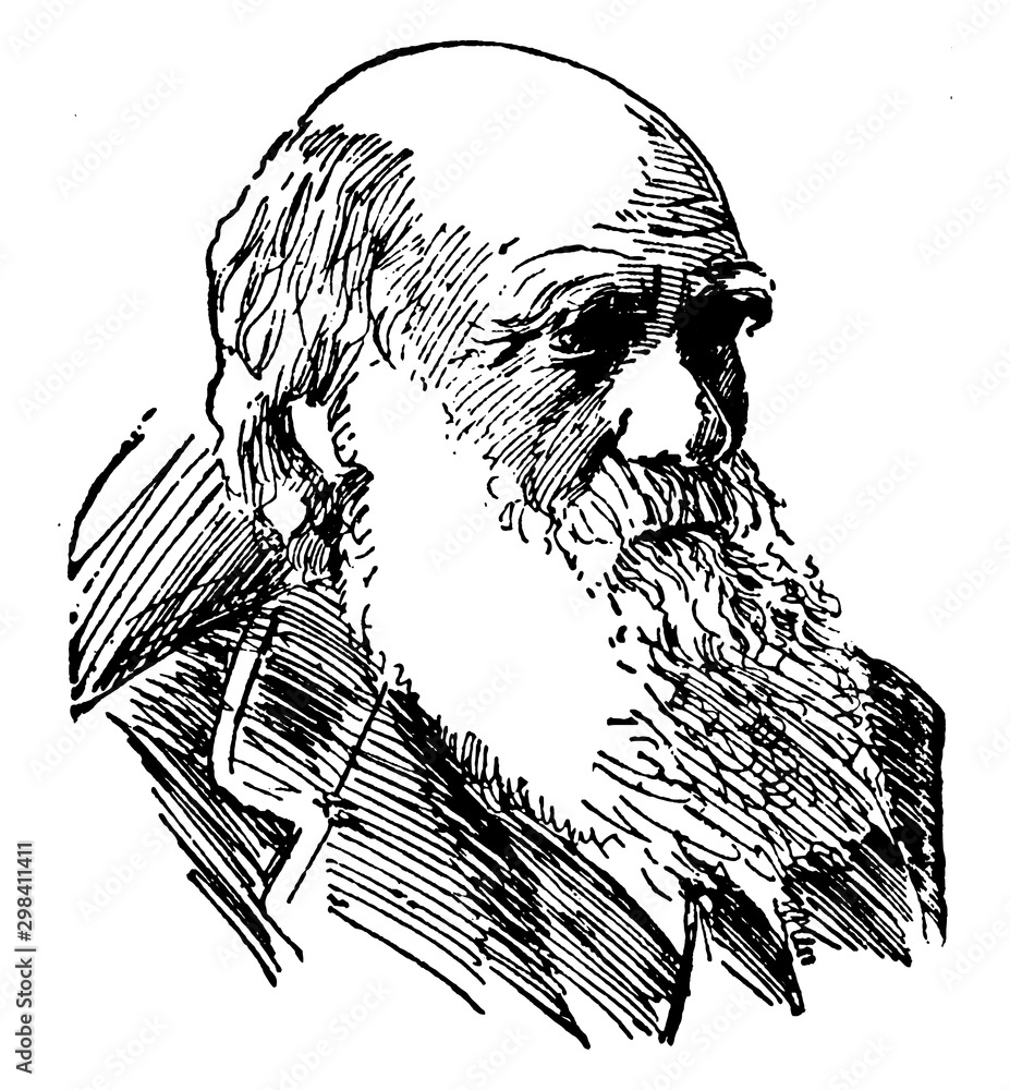 Charles Robert Darwin, vintage illustration - obrazy, fototapety, plakaty 